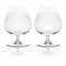Degustation Бокалы для коньяка 145 X2 Baccarat