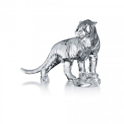 Tigre Brullender Bengal Baccarat
