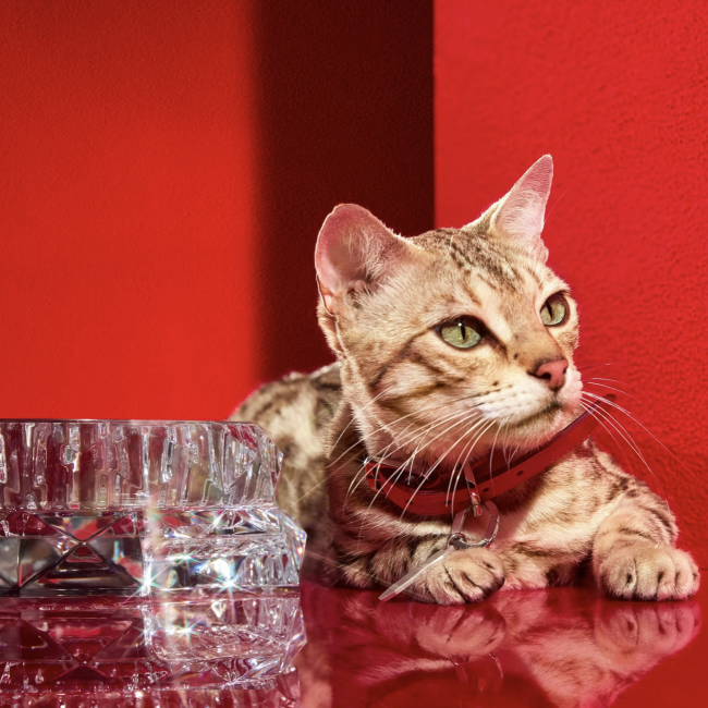 Baccarat 2816345