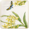 Тарелка 23x23 см Amazonia Villeroy & Boch	